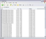 nelugmail06