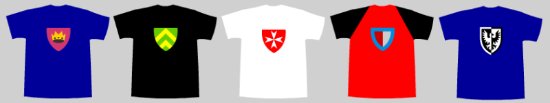 Castle T-shirts