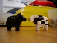 Animals